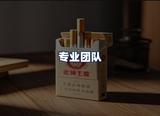 专业团队